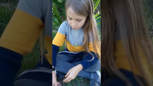 Aceites esenciales Young living. смотреть онлайн