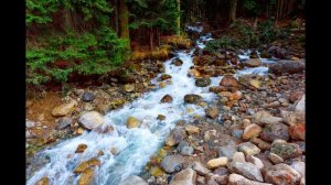 РОССИЯ. Моя песня в моём исполнении. Аранжировщик, музыкант М. Соболев.