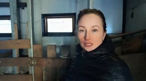 Стойловое содержание коз. Подготовка/Осенняя дегельментизация/Ветеринарный учет/Кормление коз зимой