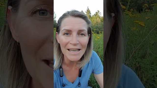 РОДИТЕЛЯМ ПЕРВОКЛАШЕК! Про усидчивость, внимание и прилежание в первом классе - Света Гончарова