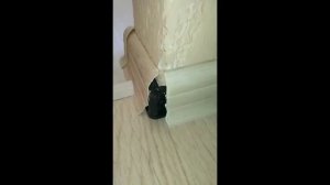 Установка напольного плинтуса с кабель каналом.