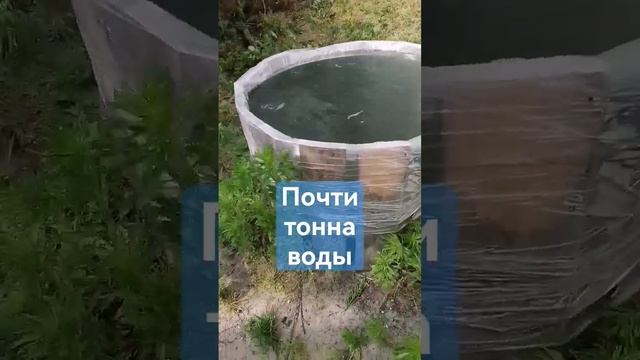 Почти тонна воды за копейки. Ёмкость для сбора воды и полива