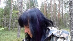 Сбор белых грибов - Республика Коми