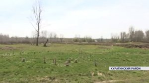 Огромный скотомогильник обнаружили жители деревни Белый Яр в Курагинском районе