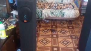 TQWP на автомобильных динамиках. Супер домашние колонки