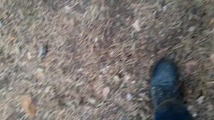 Суздальская.mp4