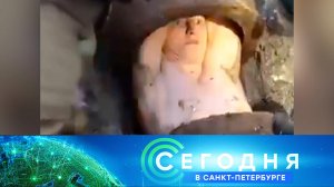 «Сегодня в Санкт-Петербурге»: 10 ноября 2022 года