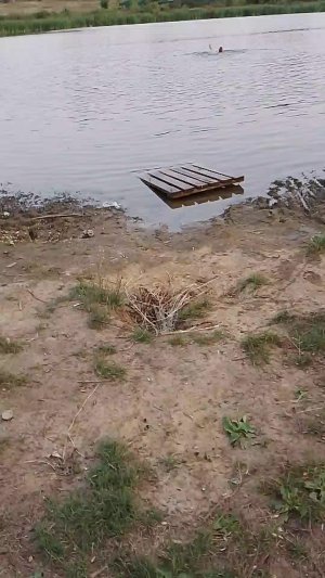 гуляю