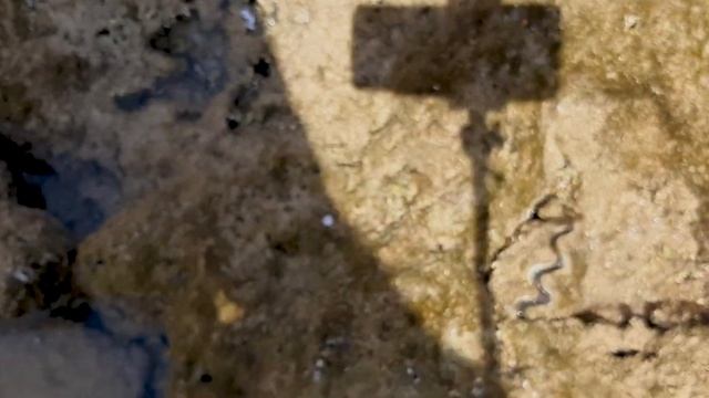 Island View Resort, Шарм-эш-Шейх. Поездка в Каир к Пирамидам | Egypt. Pyramids (12 hours by bus‼) смотреть онлайн