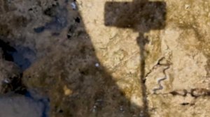 Island View Resort, Шарм-эш-Шейх. Поездка в Каир к Пирамидам | Egypt. Pyramids (12 hours by bus‼)