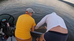 РЫБАЛКА ИЗМЕНИВШАЯ ВСЁ | Освобождаем СТЕРЛЯДЬ и СОМА из СЕТЕЙ | Судак на равномерную проводку