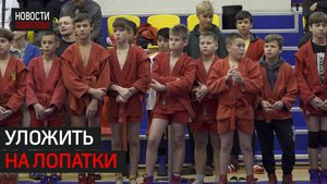 Более 200 человек приняли участие в соревнованиях по самбо в Мытищах.