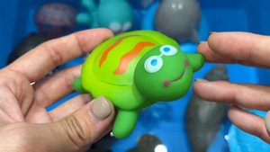 Learn Sea Animal Names and Facts I What Sea Animals Eat I Ocean Creatures For Kids