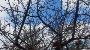 Заброшенная Музыкальная Школа и Что Она Скрывает!?? Небезопасно! Шок! Меня Забыли... Ищем Щенков!