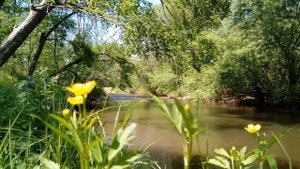 Наташа Королева сделала неожиданное признание в свой День Рождения ! Наши Знаменитости !
