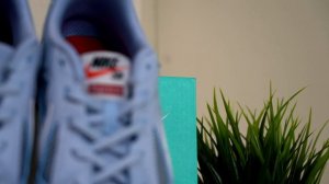 Supreme Nike SB Gato Review & On Feet