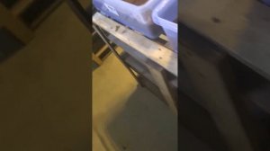 черная львинка в рыбоводстве