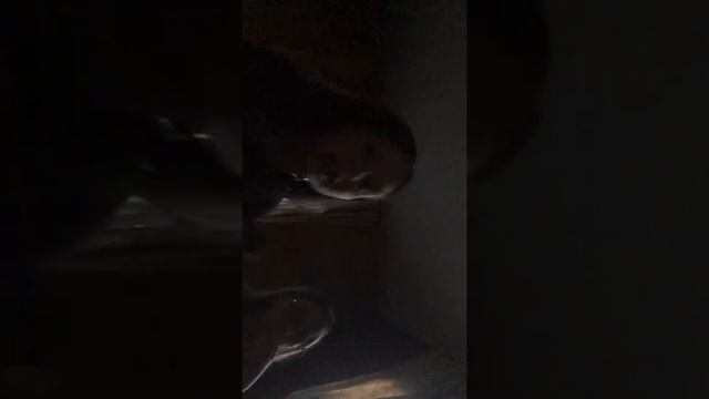 Правда или действие ( 2 часть. Мы снова не успели попрощатся смотреть онлайн