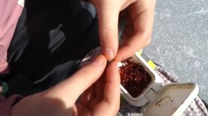 Как насадить мотыля пучком.