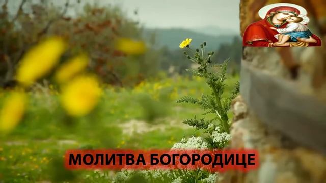 Агни Парфене | Северный Афон - Благовест | Православие и песни смотреть онлайн