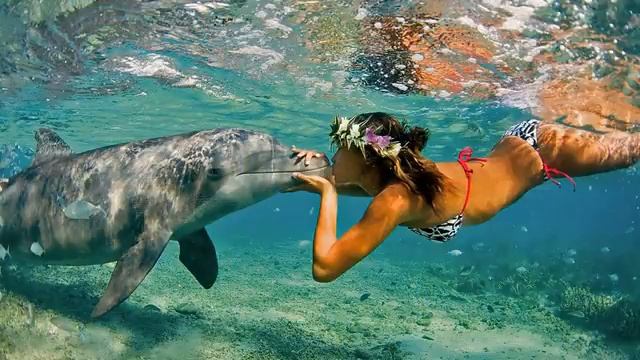 Новогодние туры в Австрию смотреть онлайн