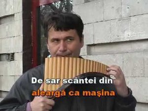 Ricu Vodă: "Alearga caii".