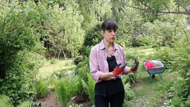Навожу порядок на альпийской горке
