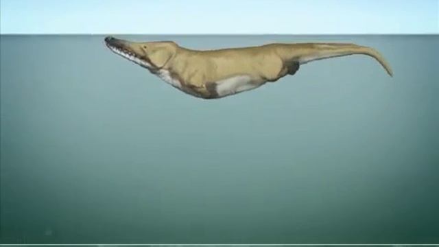 эволюция китообразных смотреть онлайн