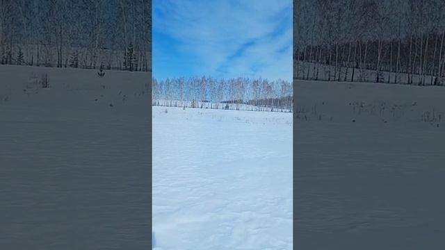 Встретили свинью с поросятами (прогулка на мотобуксировщике) смотреть онлайн