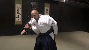 Ириминаге Айкидо / Iriminage Aikido / Разные варианты от ударов рук / Тренировка