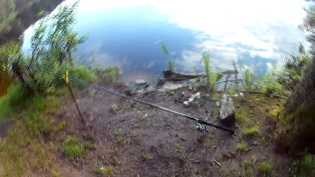 Турне по Брестской области В поисках рыбы смотреть онлайн