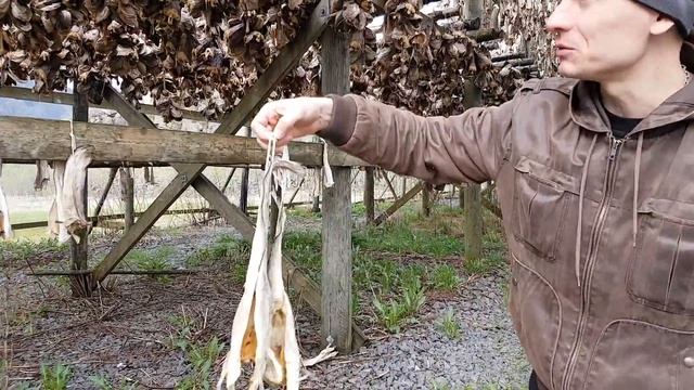 Норвегия, сушилки для рыбы смотреть онлайн