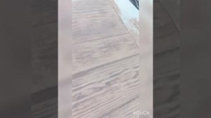 Гибкая  3D доска для фасада. Варианты окраски.