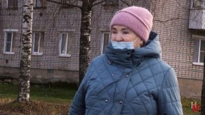 Улицы города стали пастбищем для лошадей