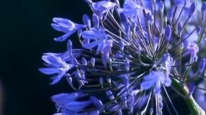 Бог  написал  тебе  письмо....Автор  :Оксана Биктимерова.Читает  Раиса  Самирова ......