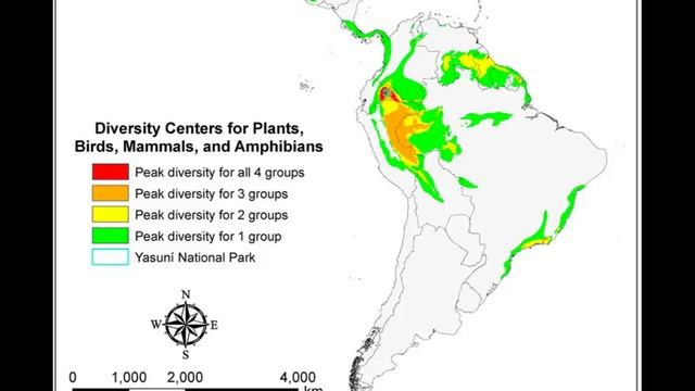 Неотропики. смотреть онлайн