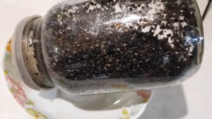 Проращивание черного кунжута в банке и рецепт смузи с зеленью