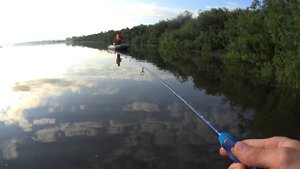 Летние воспоминания о рыбалке, р.Томь, Кемеровская область