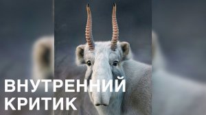 Виктория Дубинская. Внутренний критик. Техники работы