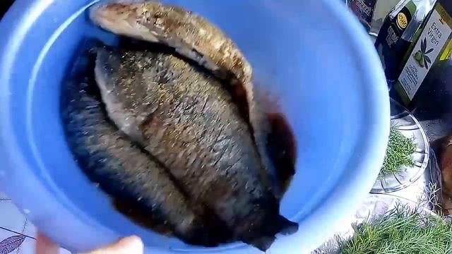 Запеченные КАРАСИ на ЛУКОВОЙ подушке под СМЕТАНОЙ.( очень вкусные !) смотреть онлайн