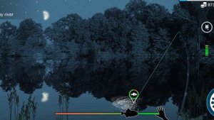 My Fishing World : Сом Амурский (Ежедневное Задание, Река Таби) #myfishingworld