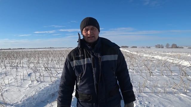 Пашем снег. В снежном плену МТЗ и Touareg! #АгроАтом #мтз #снегозадержание смотреть онлайн