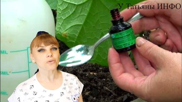 КОРНЕВАЯ ГНИЛЬ на ОГУРЦАХ, не пропустите начало болезни и СДЕЛАЙТЕ ЭТО!!!
