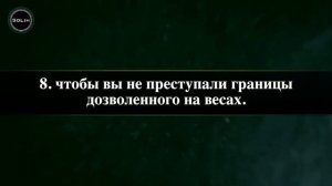 Прекрасное чтение Корана от Махди аш-Шишани