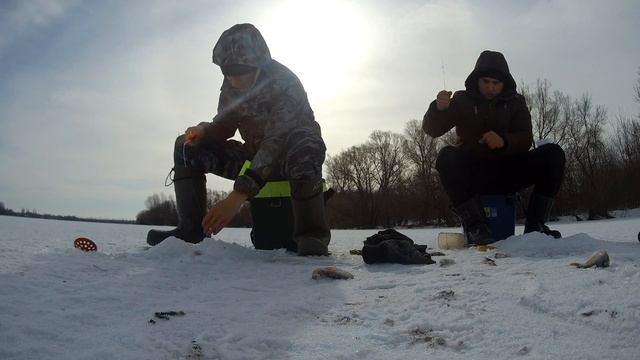 Бешеный клёв окуня на мормышку! Рыбалка на окуня на мотыля в марте 2019 смотреть онлайн