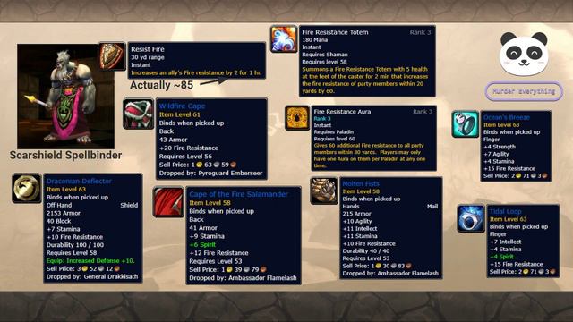 Killing Ragnaros in Week 1: World of Warcraft Classic