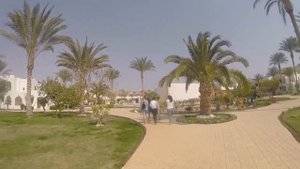Обзор отеля SONESTA BEACH RESORT 5* (Шарм Эль Шейх) Египет