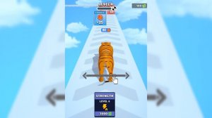 ЭВОЛЮЦИЯ ОТ МАЛЕНЬКОГО КОТЕНКА ДО ОГРОМНОГО ТИГРА Cat Evolution