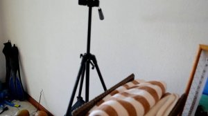 Maldives. A room in a bungalow with an ocean view. / Мальдивы. Номер в бунгало с видом на океан.