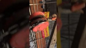 P0093 fuel leak large FORD RANGER